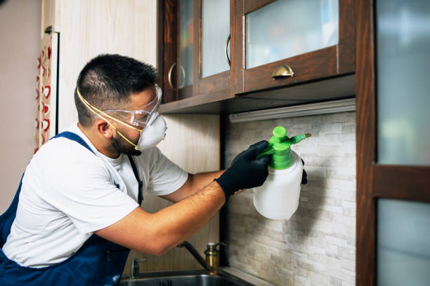 Best Flea Control Services  in Clayton, IN