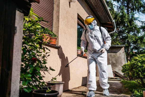 Flea Control Services in Clayton, IN