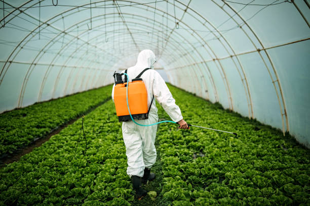 Best Affordable Pest Control Services  in Clayton, IN