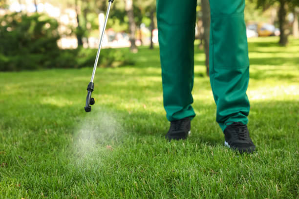 Best Pest Removal Services  in Clayton, IN