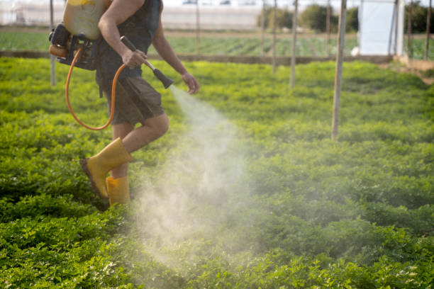 Pest Prevention Services in Clayton, IN