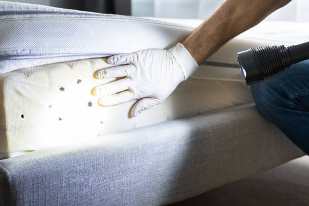 Trusted Clayton, IN Pest Control Experts