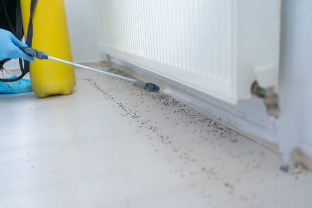 Best Wasp Removal Services  in Clayton, IN