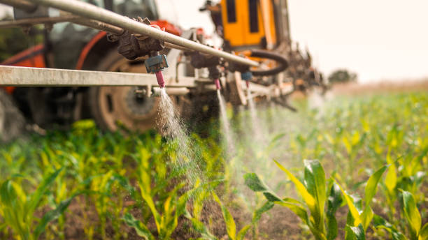 Best Commercial Pest Control Services  in Clayton, IN